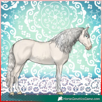 Horse Color:Cremello Dun Tobiano