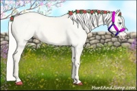 Horse Color:Cremello Dun 