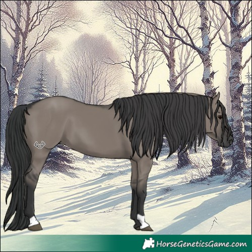 Horse Color:Grullo