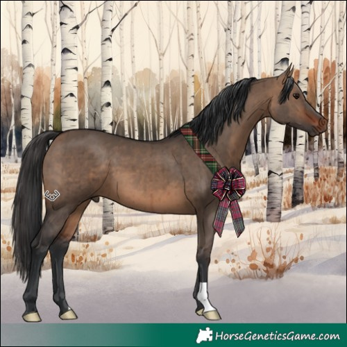 Horse Color:Brown Dun Brindle 