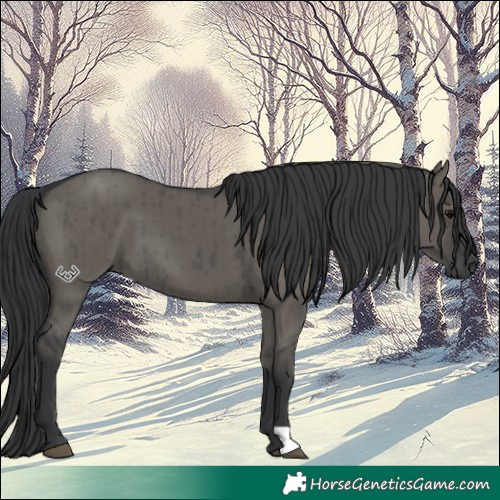 Horse Color:Grullo Brindle 