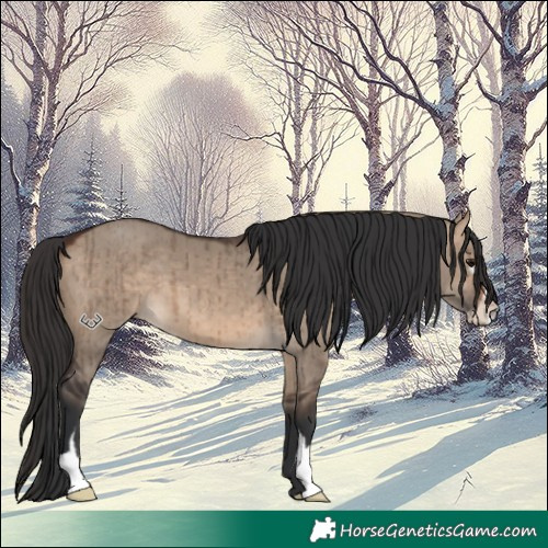 Horse Color:Brown Dun Sabino Brindle