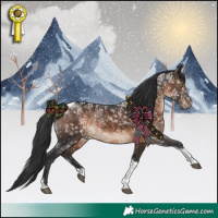 Horse Color:Brown Tobiano Rabicano 