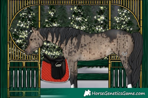 Horse Color:Brown Dun Brindle