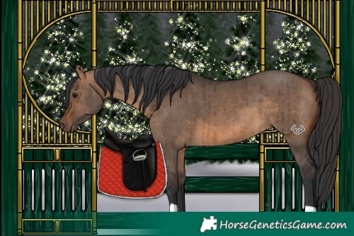 Horse Color:Brown Dun Brindle 