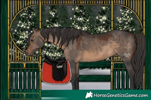 Horse Color:Brown Dun