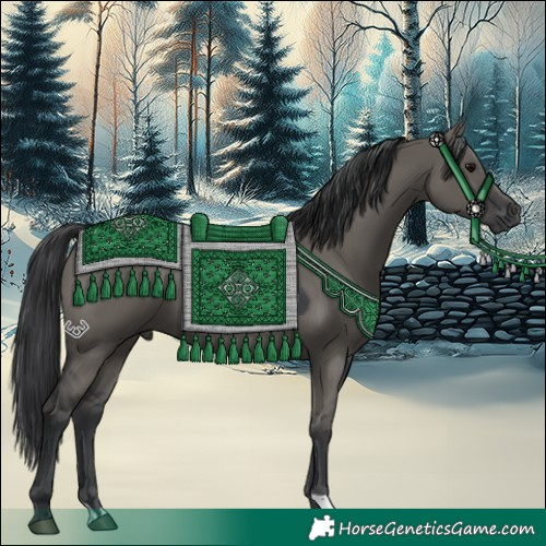 Horse Color:Grullo 