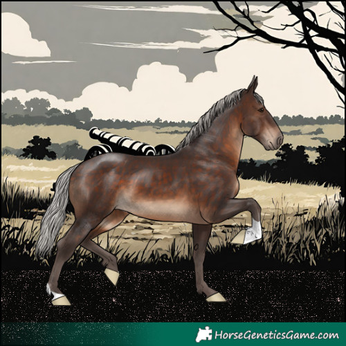 Horse Color:Silver Brown 