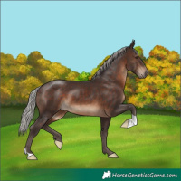 Horse Color:Silver Brown 