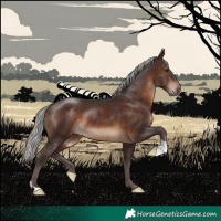 Horse Color:Silver Brown 