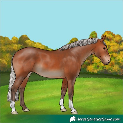 Horse Color:Silver Brown