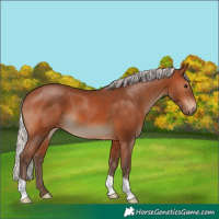Horse Color:Silver Brown 