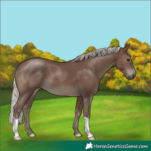 Horse Color:Silver Black 