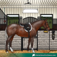 Horse Color:Silver Brown 