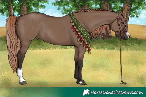 Horse Color:Liver Red Dun Sabino