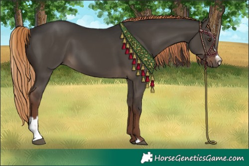 Horse Color:Liver Red Dun Sabino