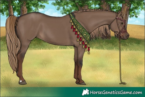 Horse Color:Liver Red Dun 