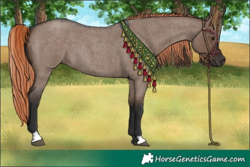 Horse Color:Liver Red Dun Roan Sabino
