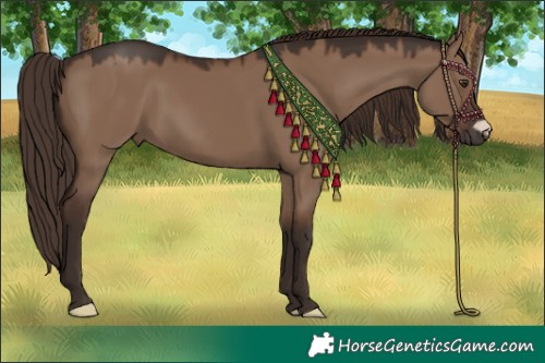 Horse Color:Liver Red Dun