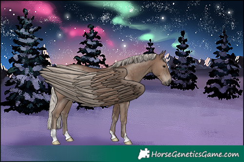 Horse Color:Silver Black 