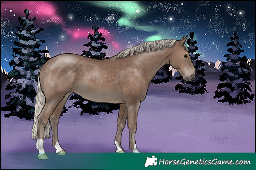 Horse Color:Silver Black 