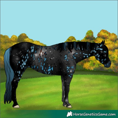Horse Color:ERROR: UNKNOWN ANOMALY