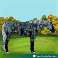 Horse Color:ERROR: UNKNOWN ANOMALY