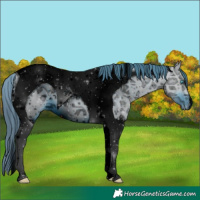 Horse Color:ERROR: UNKNOWN ANOMALY