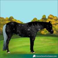 Horse Color:ERROR: UNKNOWN ANOMALY