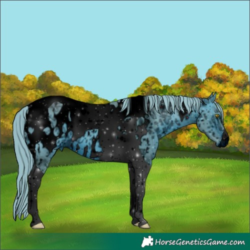 Horse Color:ERROR: UNKNOWN ANOMALY