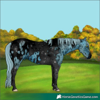 Horse Color:ERROR: UNKNOWN ANOMALY