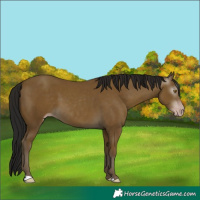Horse Color:Gray Classic Cream Champagne 