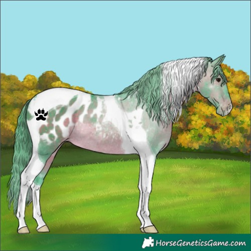 Horse Color:Watercolor Brown Tobiano Appaloosa Rabicano 