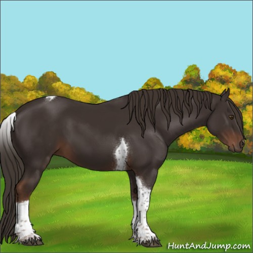 Horse Color:Liver Chestnut Tobiano