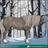 Horse Color:Silver Black Splash Tobiano 