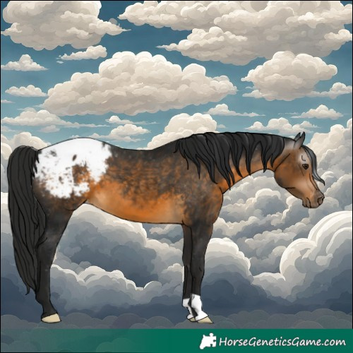 Horse Color:Gray Buckskin Snowcap 