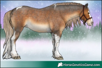 Horse Color:Chocolate Palomino Roan Splash Tobiano