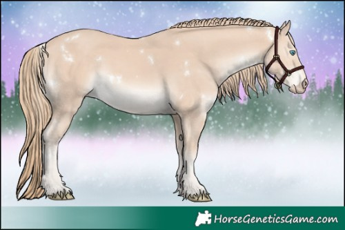 Horse Color:White Spotted Perlino 