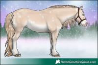 Horse Color:White Spotted Perlino 