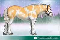 Horse Color:White Spotted Silver Buckskin Dun Splash 