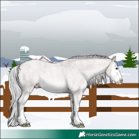 Horse Color:Platinum Silver Bay Roan Dun Splash
