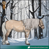 Horse Color:White Spotted Silver Brown Dun Tobiano 