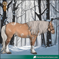 Horse Color:White Spotted Silver Bay Dun Tobiano