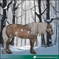 Horse Color:White Spotted Silver Brown Dun