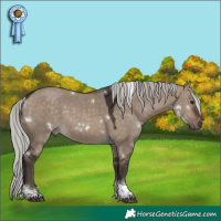 Horse Color:White Spotted Silver Brown Dun Tobiano 