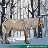 Horse Color:White Spotted Silver Grullo 