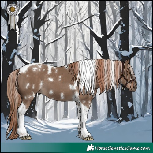 Horse Color:White Spotted Liver Red Dun Tobiano 