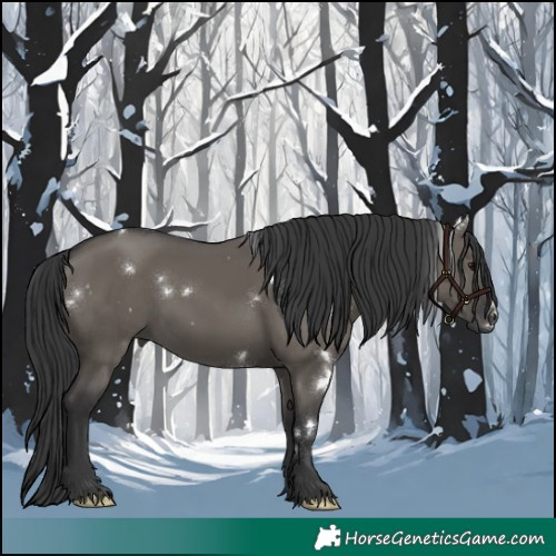 Horse Color:White Spotted Grullo