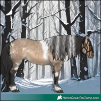 Horse Color:White Spotted Brown Dun Tobiano
