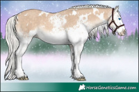 Horse Color:White Spotted Silver Perlino Splash 